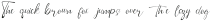 Aquilaf Script otf (400)