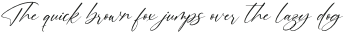 Motion Amusement Italic Italic otf (400)