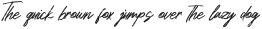 Leneora Seraphine Italic otf (400)