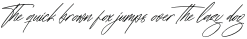 Fantaslife Radiostar Italic otf (400)