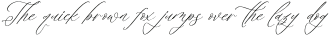 Beladin Skintics Italic otf (400)