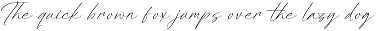 Dignity Justice Modern Script Font preview