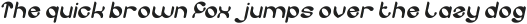 Turtle Style Italic otf (400)