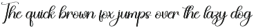 Garage | Script Font preview