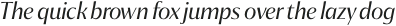 Chakai Regular Italic otf (400)