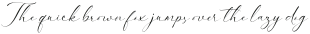 Prominent Script Regular otf (400)