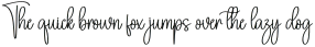 Camilla Calligraph Regular otf (400)