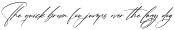 Budapesta Romantes Italic otf (400)