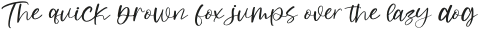 Autumn Journey Italic otf (400)
