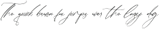 Amsterdam Fieldstar Beautiful Script preview