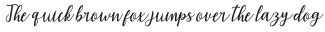 amirascript otf (400)
