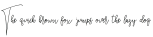 Jenilla Script Regular otf (400)