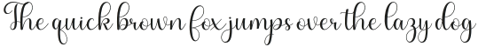 Wonderful Script Regular otf (400)
