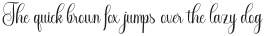 invisible script Regular otf (400)