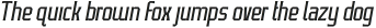 VARSERIF Light Italic otf (300)
