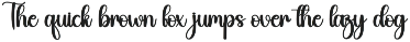 Bright | Script Font preview
