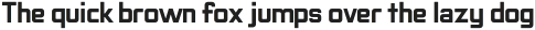 Conservation Sans otf (700)