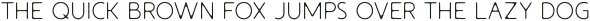 Pontus Light otf (300)