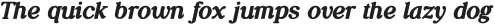 Daily Magazine Black Italic otf (900)