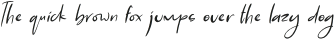 Pelanque Sparkle Italic otf (400)