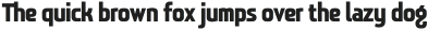 JAGUARRegular otf (400)