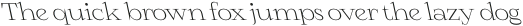 CS Daily Reverse Italic otf (400)