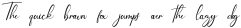 Bethoughter Script otf (400)