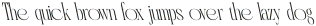 CS Golder Reverse Italic otf (400)