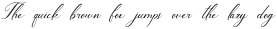 Daneworch Script otf (400)