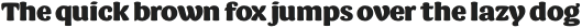Barricada Pro ExtraBold otf (700)