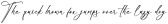 Brightters Palleta otf (400)