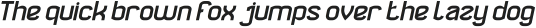 DIGITAL EXPRESSION Bold Italic otf (700)