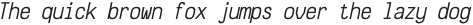 CS Liona Mono Italic otf (400)