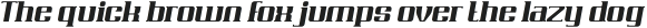 Rigaster Italic otf (400)