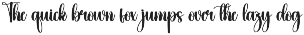 Glittering | Script Font preview