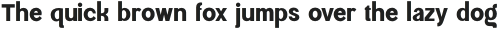 Magnetic-Bold otf (700)