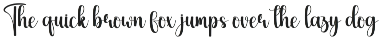 Vacation | Script Font preview