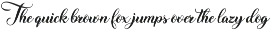 Ms Stusi Calligraphy font preview