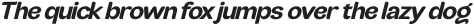 JHC Rasbora Bold Italic otf (700)