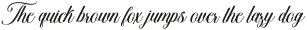 Bergidan Bold Slant Regular otf (700)