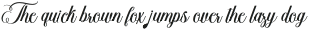 Hadigen Bold Regular otf (700)