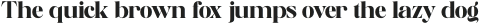Piloner Black otf (900)