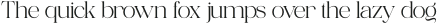 Piloner Light otf (300)