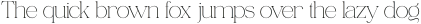Piloner Thin otf (100)