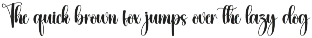 Sunflower | Script Font preview