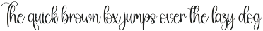 Chubby | Script Font preview