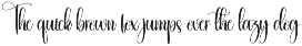 Washington | Script Font preview
