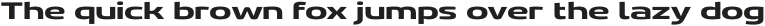 Gltp Starion Ultra Expanded Bold otf (700)