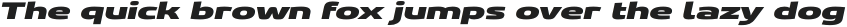 Gltp Starion Ultra Expanded Extra Italic otf (900)