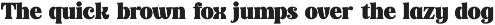 Magicals Royale Modern Vintage Font font preview